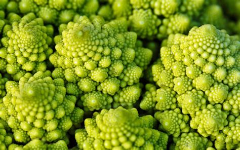 what-is-romanesco-how-do-you-cook-it-5-best image