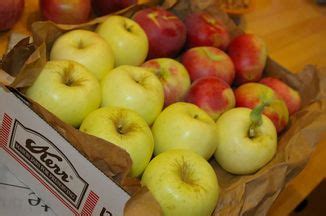 best-knobby-apple-cake-recipe-how-to-make-nobby image