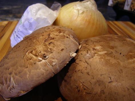 ziti-with-portobello-mushrooms-caramelized-onions image