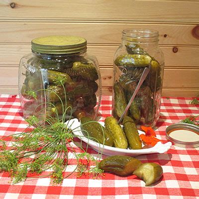 cucumber-season-crock-pickles-cheryl-wixsons image
