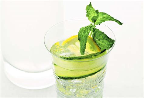 lemon-cucumber-cocktail-recipe-leites-culinaria image