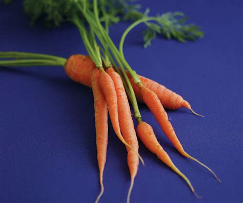 sweet-and-crunchy-carrots-article-finecooking image