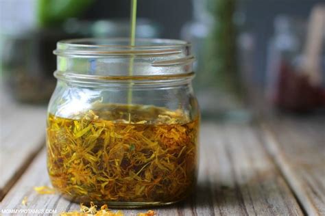 how-to-make-calendula-oil-and-5-ways-to-use-it image