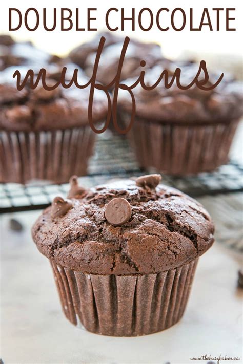best-ever-double-chocolate-chip-muffins-the-busy image