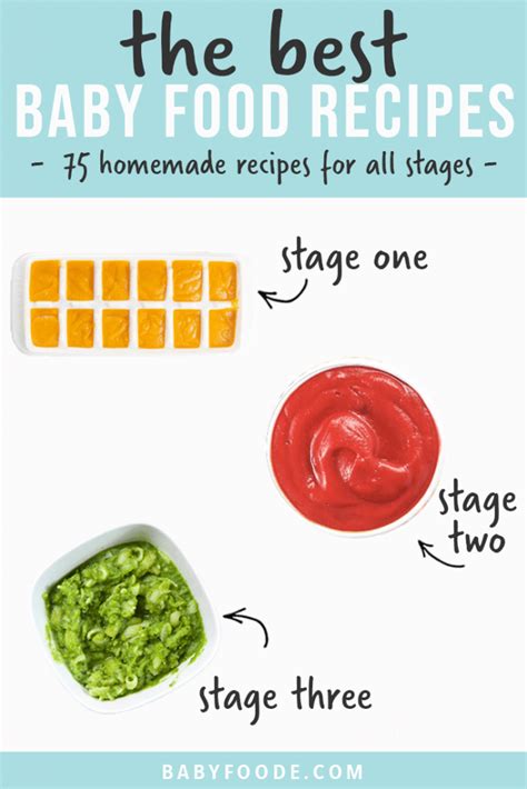 75-best-baby-food-recipes-stage-1-2-3 image
