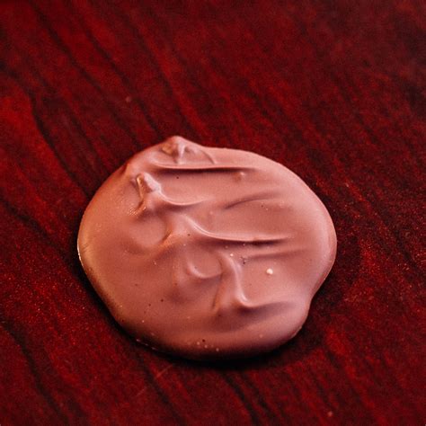 tempering-and-molding-chocolate-alchemy image