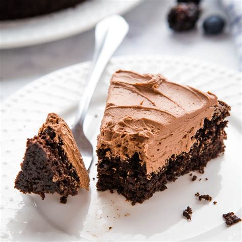 best-ever-easy-chocolate-cake-the-busy-baker image