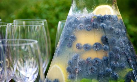 blueberry-lemonade-with-fresh-mint-food-channel image