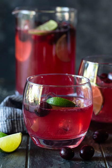 cranberry-vodka-christmas-punch-garnish-with-lemon image