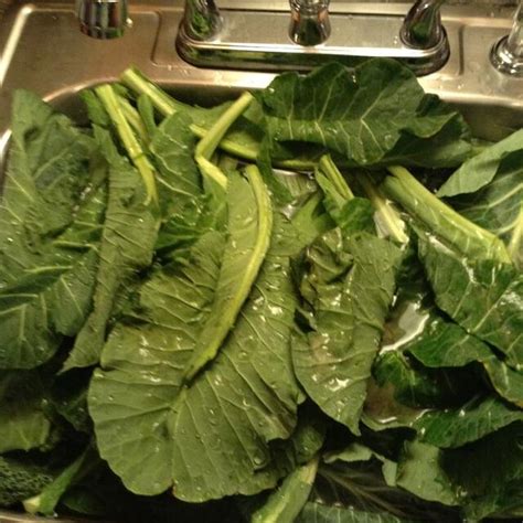 can-you-freeze-fresh-greens-without-blanching image