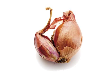 what-are-shallots-the-spruce-eats image