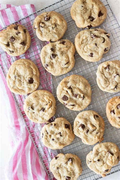 perfectly-puffy-chocolate-chip-cookies-mountain-mama image