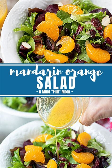mandarin-orange-salad-with-citrus-dressing-a-mind image