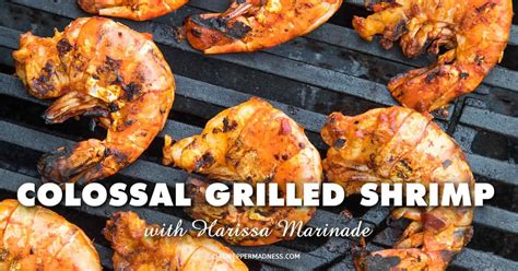 colossal-grilled-shrimp-with-harissa-marinade-chili image