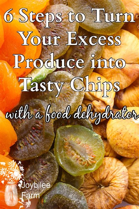6-steps-to-turn-your-excess-produce-into-tasty-chips-with image
