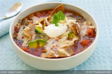 sopa-azteca-tortilla-soup-recipe-recipelandcom image