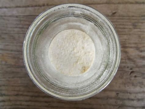 how-to-make-onion-salt-my-frugal-home image