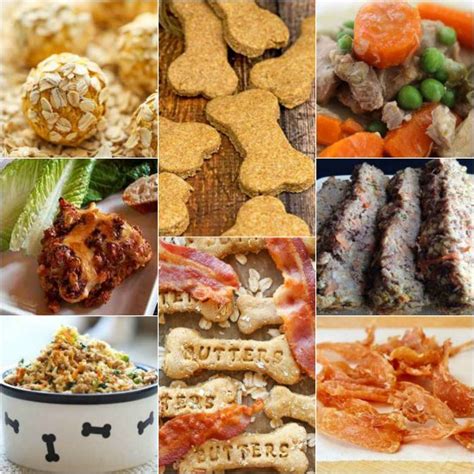 18-best-homemade-dog-food-and-treat image