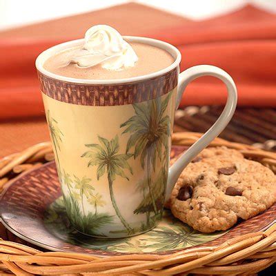 single-serving-microwave-hot-cocoa-very-best-baking image