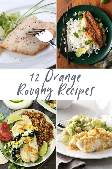12-orange-roughy-recipes-40-aprons image