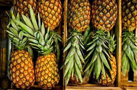 what-are-pineapples-the-spruce-eats image