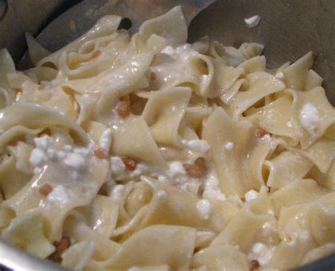 egg-noodles-and-cottage-cheese-on-bakespacecom image