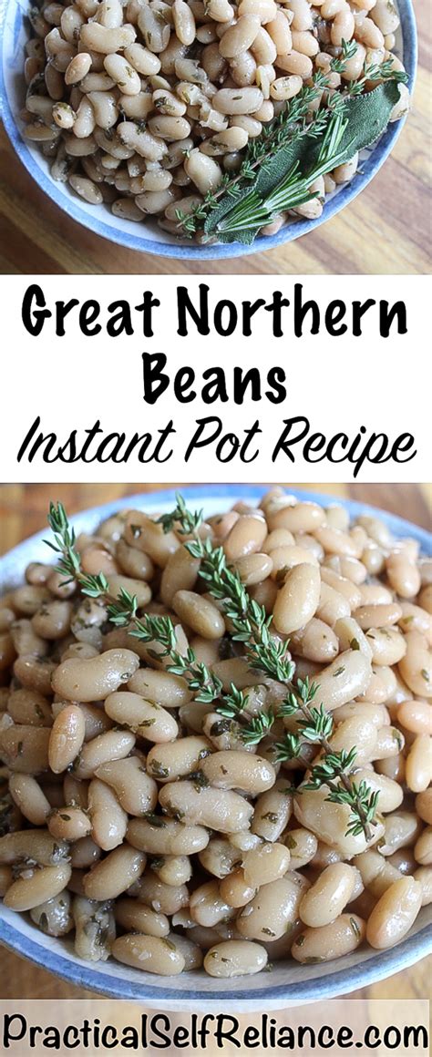 instant-pot-great-northern-beans-practical-self-reliance image