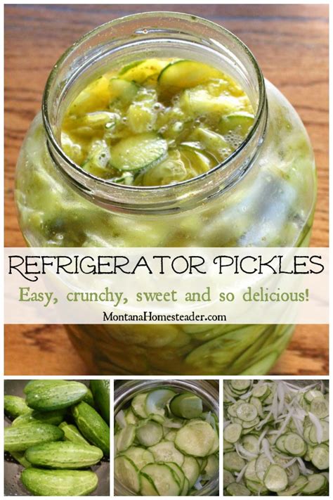 easy-crunchy-refrigerator-pickles-montana-homesteader image