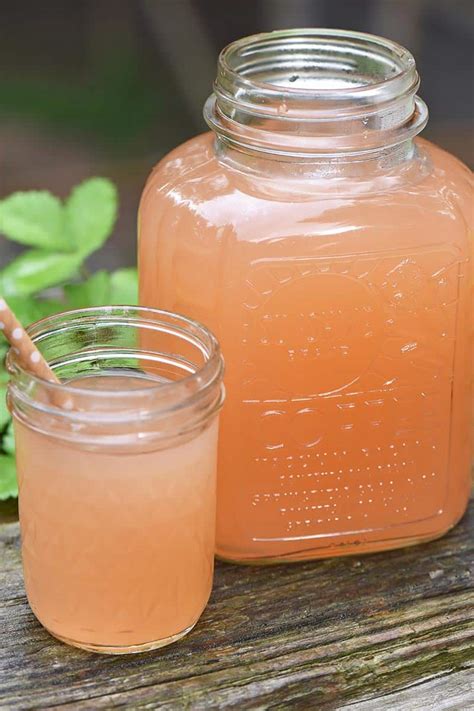 how-to-make-homemade-apple-juice-without-a-juicer image