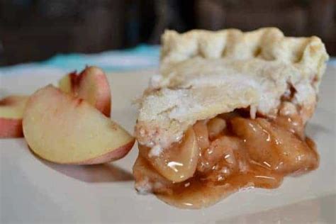 homemade-peach-pie-with-fresh-peaches-audreys image
