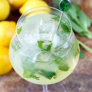 mint-lemonade-recipe-low-sugar-pickled-plum image