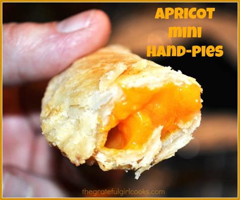 apricot-mini-hand-pies-the-grateful-girl-cooks image