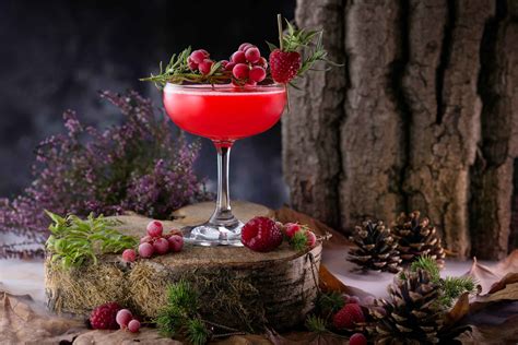 sloe-gin-cocktail-recipes-for-the-festive-season image