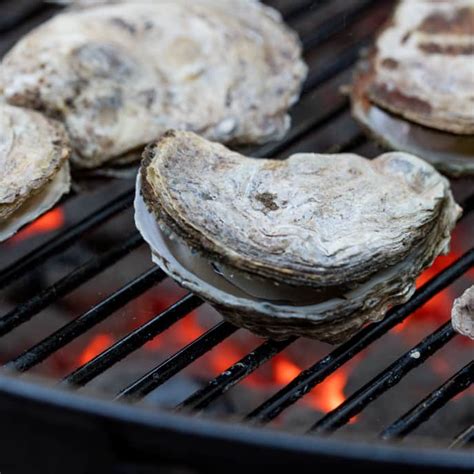 gas-grilled-clams-mussels-or-oysters image