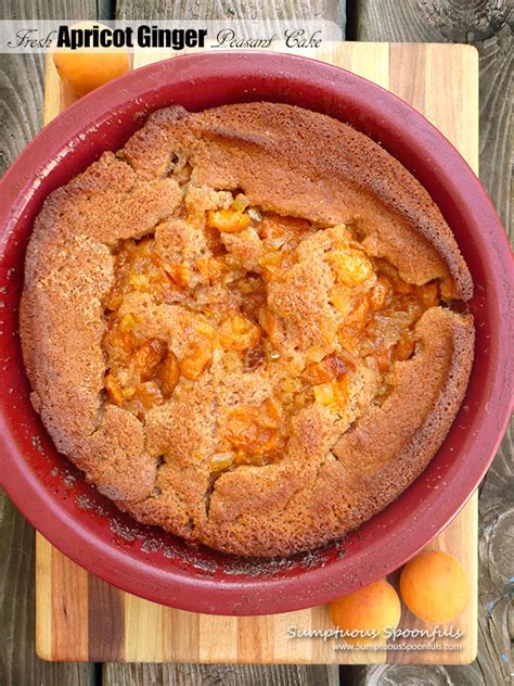 fresh-apricot-ginger-peasant-cake-sumptuous image