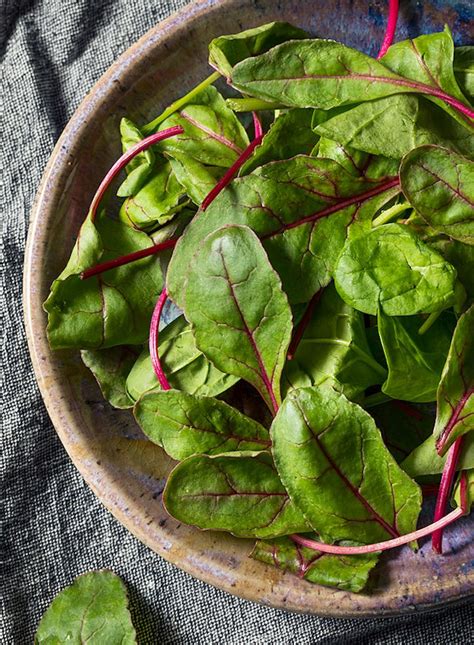 a-guide-to-baby-greens image