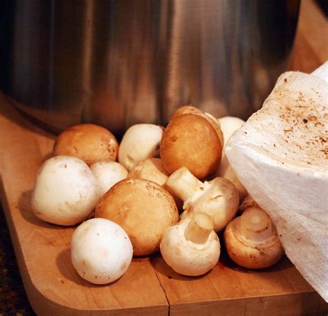 merlot-simmered-mushrooms-comfortably-domestic image