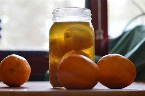 limoncello-recipe-using-meyer-lemons-joybilee-farm image
