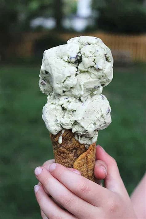 dairy-free-mint-chip-ice-cream-ditch-the-wheat image