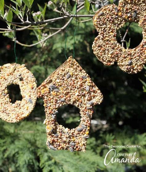 bird-seed-ornaments-crafts-by-amanda image