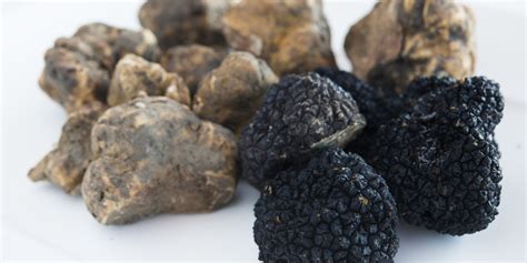 truffle-recipes-great-italian-chefs image