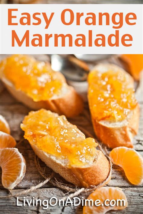 homemade-easy-orange-marmalade-recipe-living image