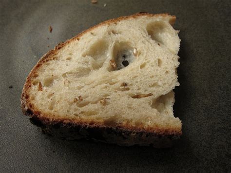 bake-the-best-backcountry-bread-backpacker image
