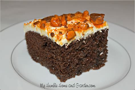 holy-cow-cake-recipe-my-humble-home-and-garden image