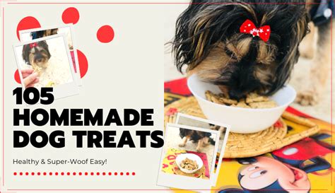 105-homemade-dog-treat-recipes-healthy-super image