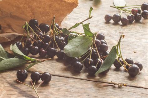 chokeberry-aronia-berry-preserves-or-jam image