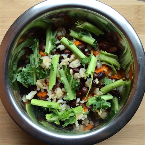 hearty-black-bean-bowl-for-dogs-vegannie image