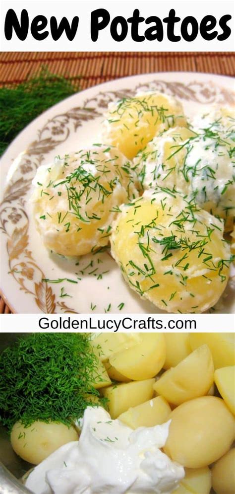 new-potatoes-with-sour-cream-and-dill-goldenlucycrafts image