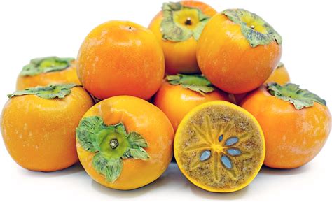maru-persimmons-information-recipes-and-facts image