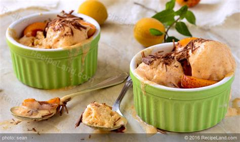 fresh-apricot-ice-cream image